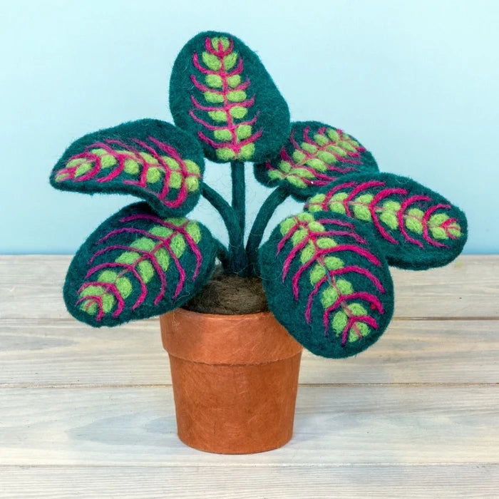 Felt Potted Prayer Plant