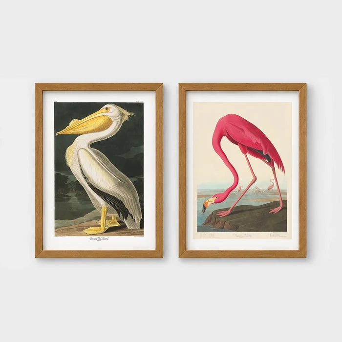 Set of 2 framed prints, Audubon-style vintage bird illustrations: a white pelican; and a flamingo bending to feed — unframed