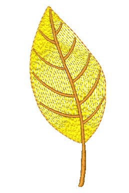 Autumn Leaves Collection  [4x4] # 10660