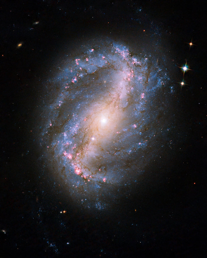 Barred Spiral Galaxy NGC 6217 – Hubble Space Telescope Image