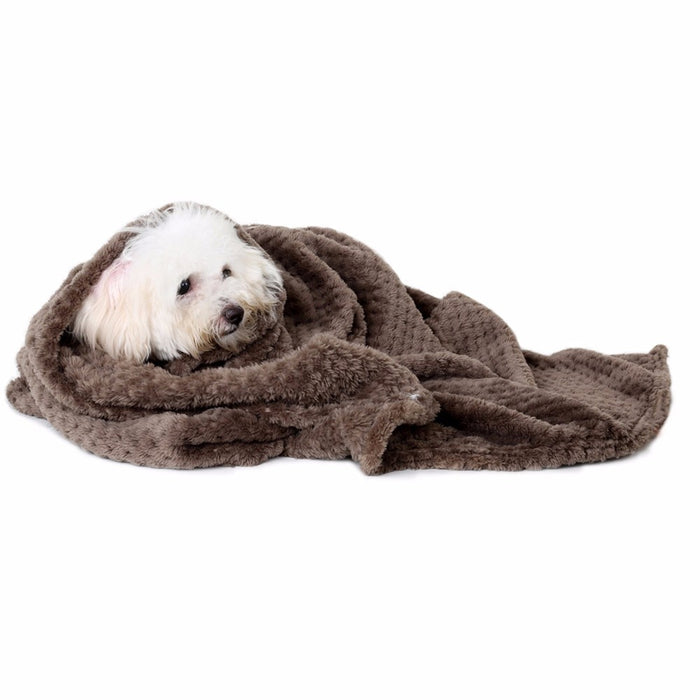 Blanket,Pet,Dog,Warm - foxberryparkproducts