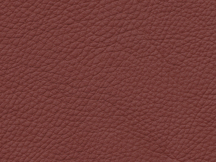 BMW Basis Red Brown