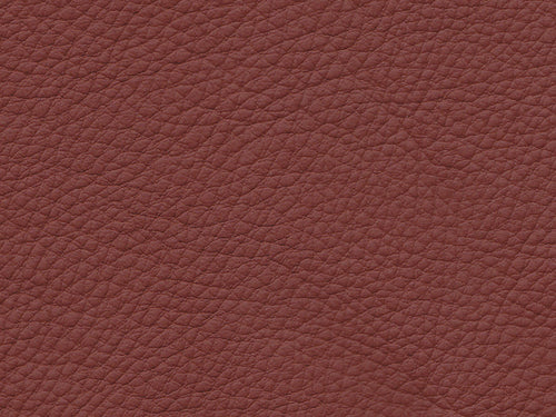 BMW Basis Red Brown