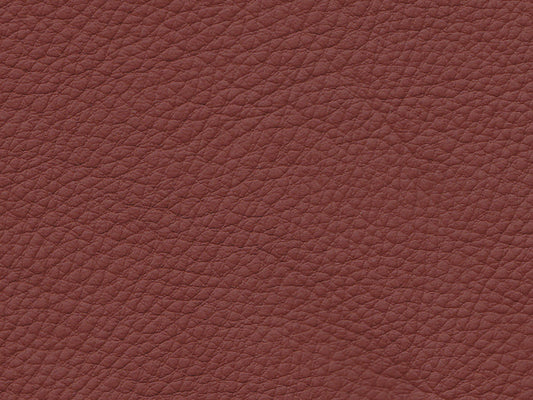 BMW Basis Red Brown