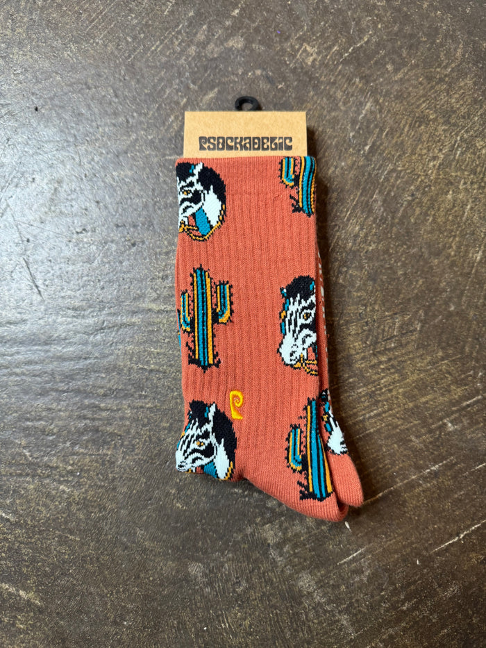 Cactus Zebra Socks