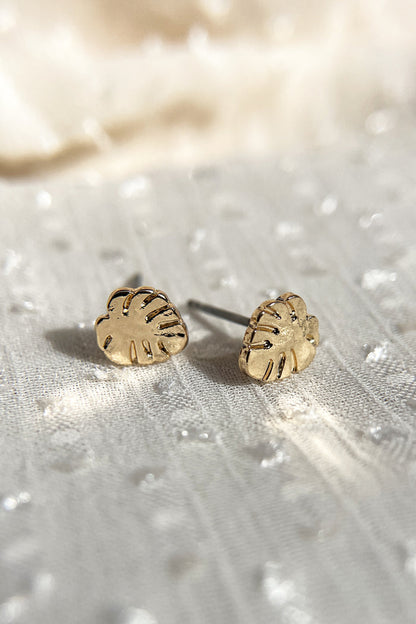Dayton Earrings