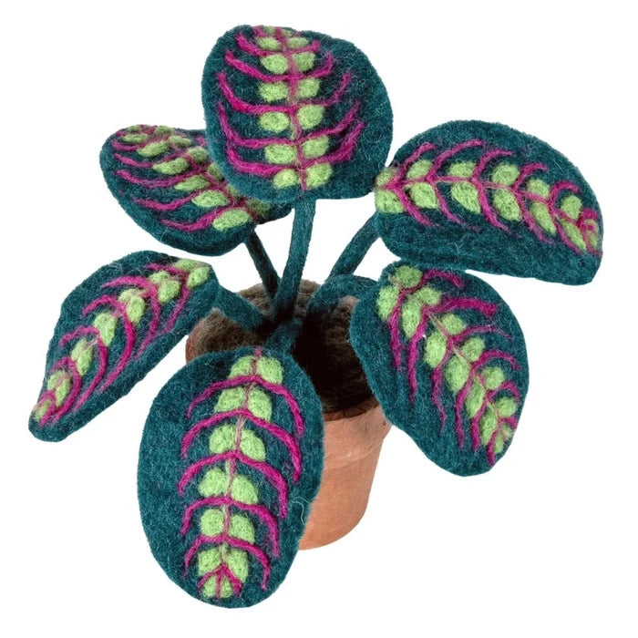 Felt Potted Prayer Plant