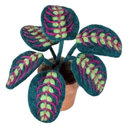 Felt Potted Prayer Plant