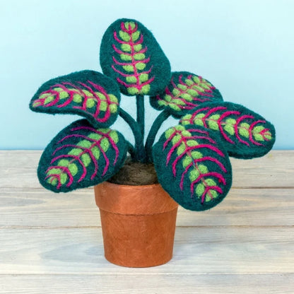 Felt Potted Prayer Plant