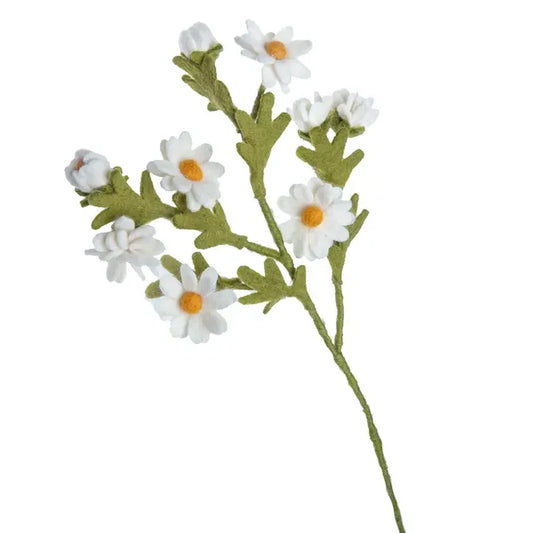 Felted Chamomile