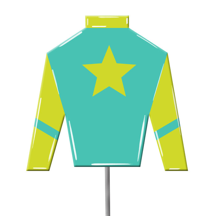 Jockey Silks Yard Stake - Aqua & Lime Star