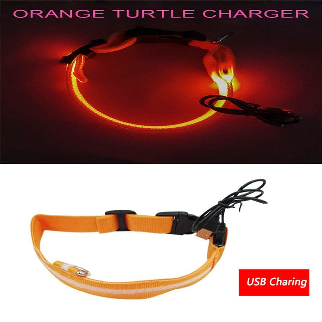 Luminous Dog Collar Led USB Collar Personalized Rechargeable Light For Small Large Dog - foxberryparkproducts
