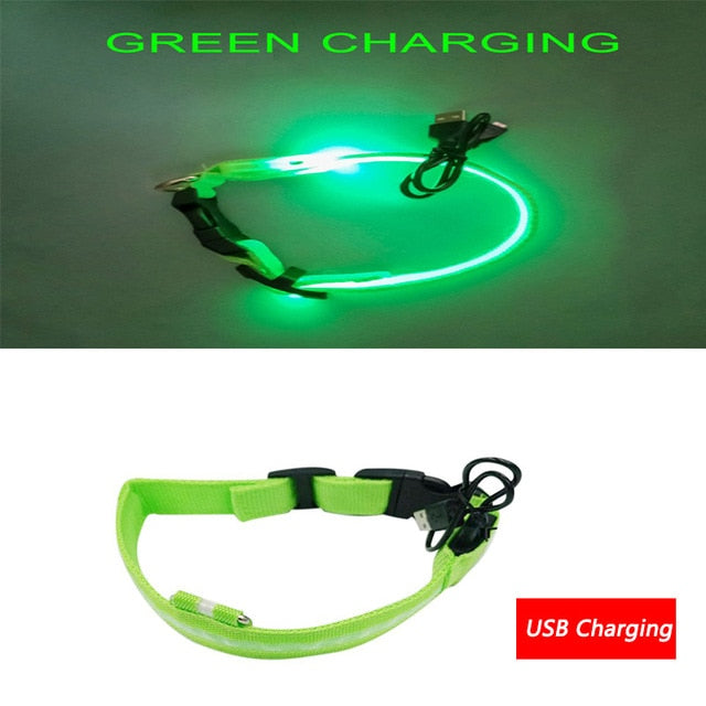 Luminous Dog Collar Led USB Collar Personalized Rechargeable Light For Small Large Dog - foxberryparkproducts