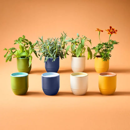Modern Sprout Garden Vibes Candle/Planter