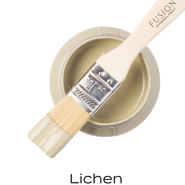 Paint Tester LICHEN