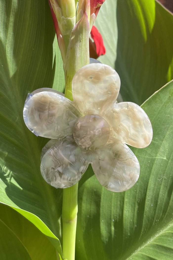Pop Flower Hair Claw