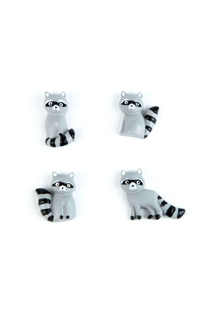 Racoon 4PK Magnets