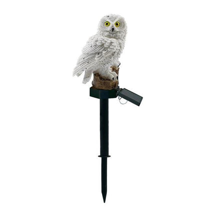 solar power led garden light outdoor Waterproof - foxberryparkproducts