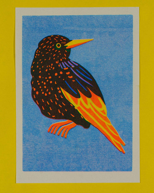 Starling Mini Riso Art Print