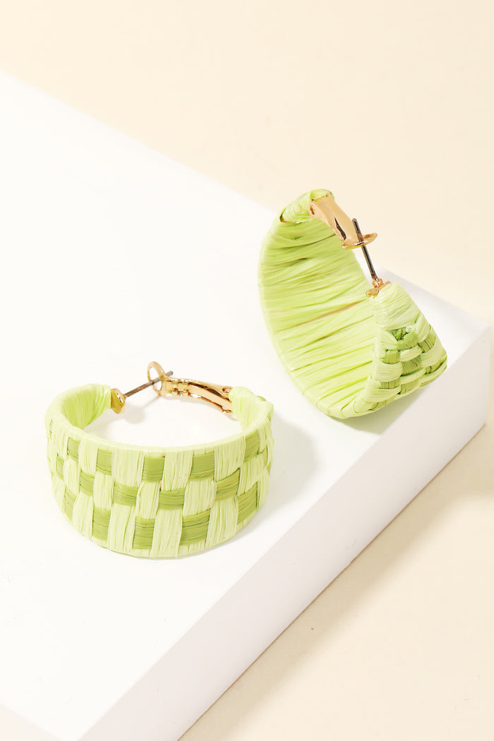 Summer Check Earrings