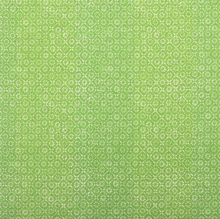 Ti Punch Fabric in Lime