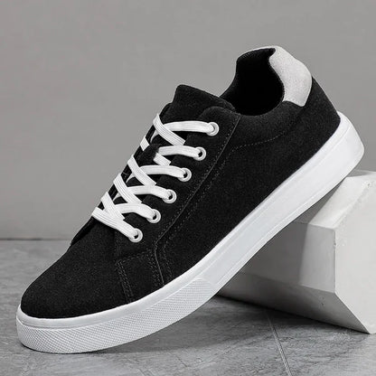Black / 6